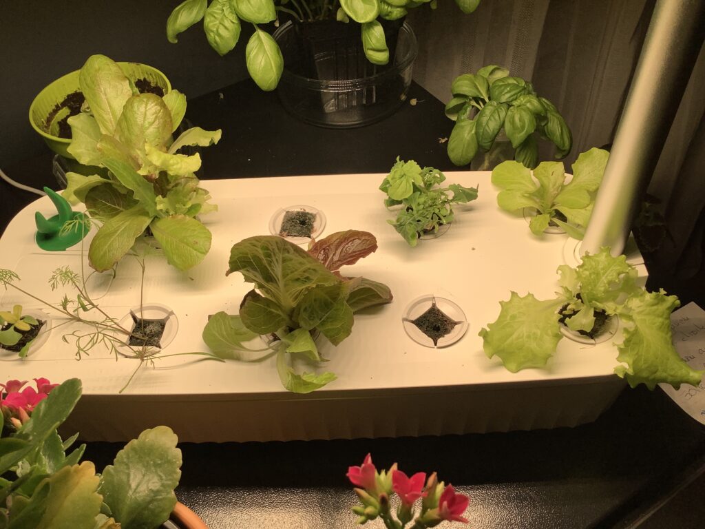 Image #1 from Sylvie Aubin