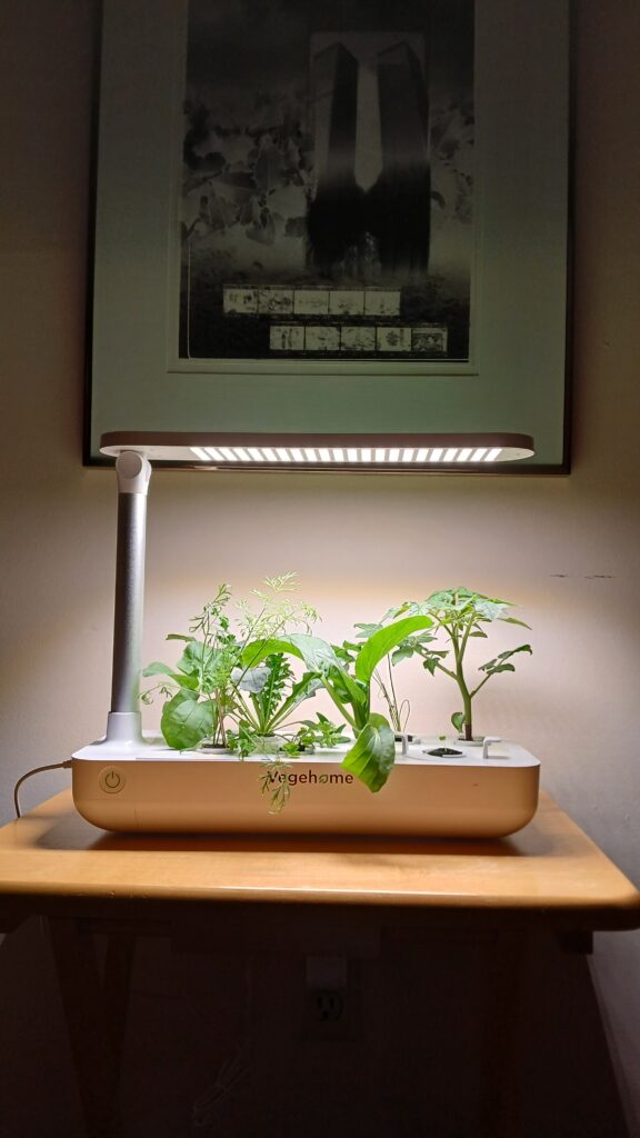 Image #1 de Krista S.